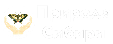 Логотип Природа Сибири